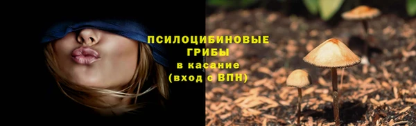 молекула духа Кинешма