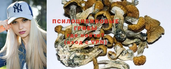 молекула духа Кинешма
