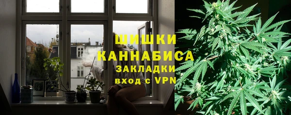 молекула духа Кинешма