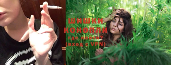дмт Киреевск