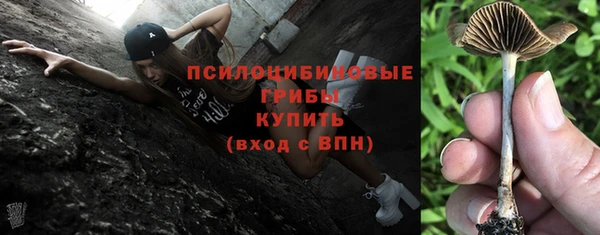 дмт Киреевск