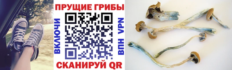 даркнет сайт  Клин  Галлюциногенные грибы Cubensis 