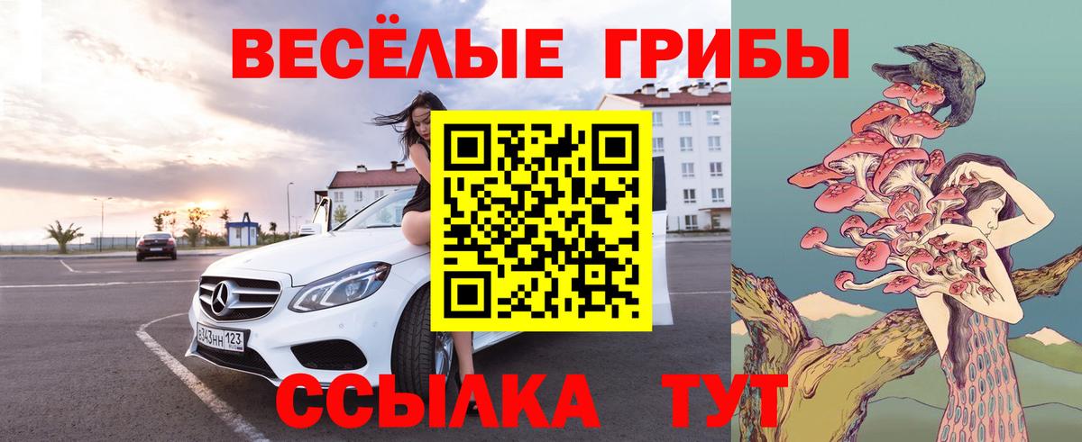Галлюциногенные грибы GOLDEN TEACHER Клин