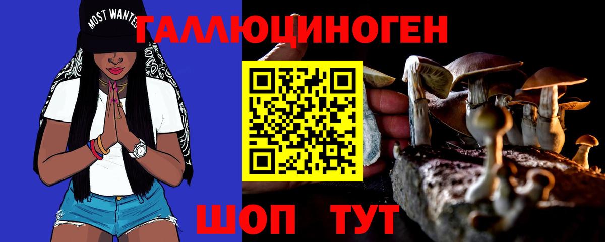 сколько стоит  Псилоцибиновые грибы мухоморы  Вход с VPN  Клин 