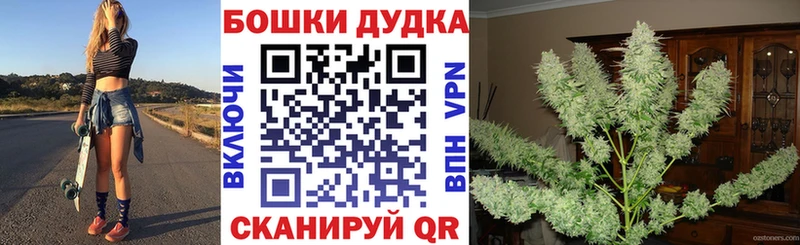 кракен рабочий сайт  Клин  Канабис семена 
